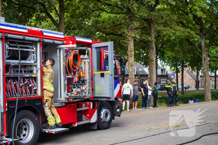 Kittens en kat gered bij brand in woning