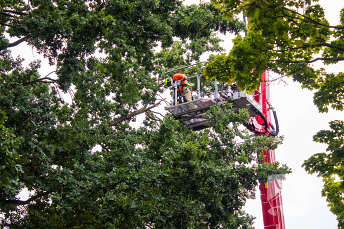 Brandweer verwijdert loshangende takken