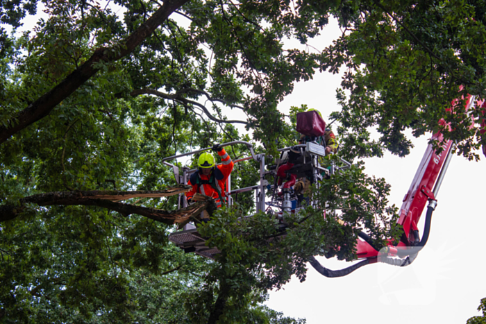 Brandweer verwijdert loshangende takken