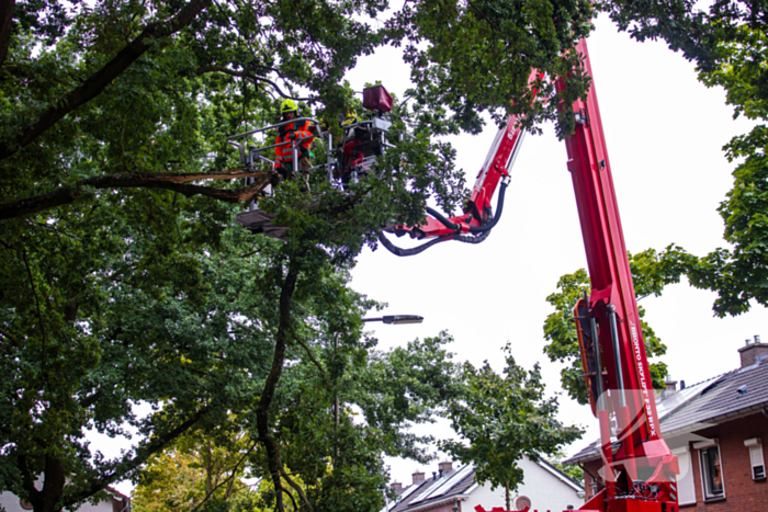 Brandweer verwijdert loshangende takken