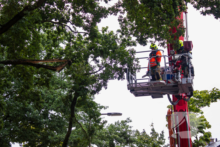 Brandweer verwijdert loshangende takken