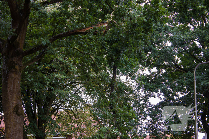 Brandweer verwijdert loshangende takken