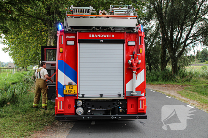Paard in het water gered door brandweer