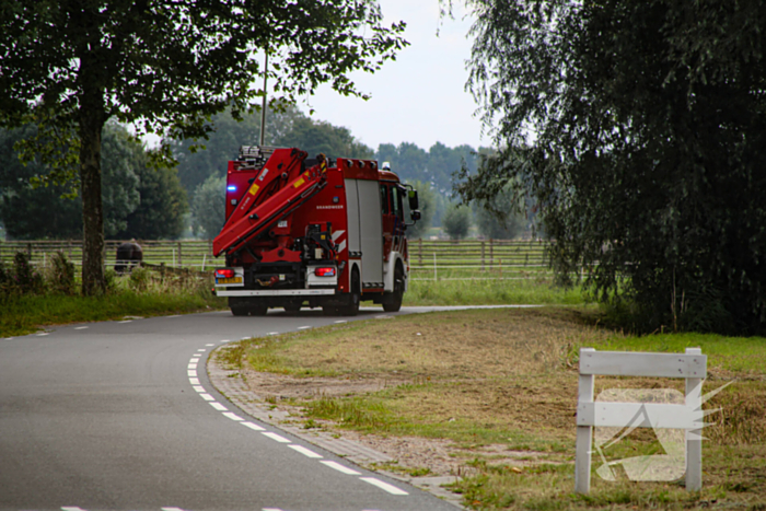 Paard in het water gered door brandweer