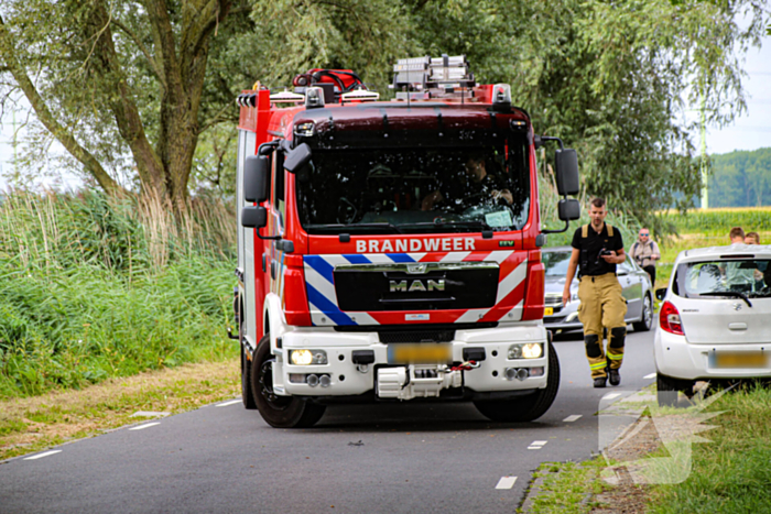 Paard in het water gered door brandweer