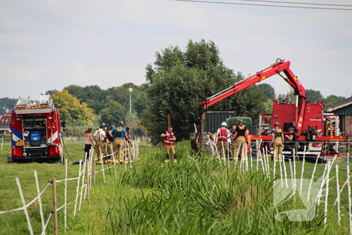 Paard in het water gered door brandweer
