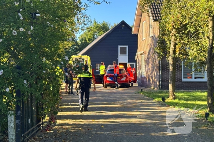 Man raakt gewond door paard tijdens verzorging