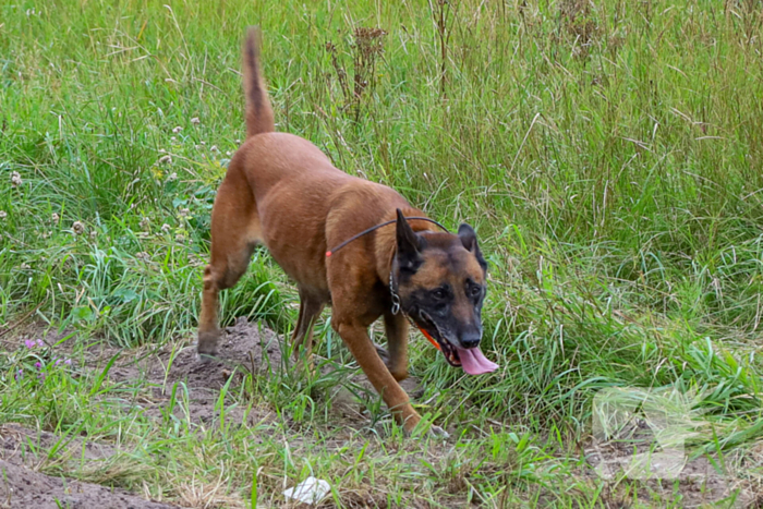 17-jarige overleden aangetroffen
