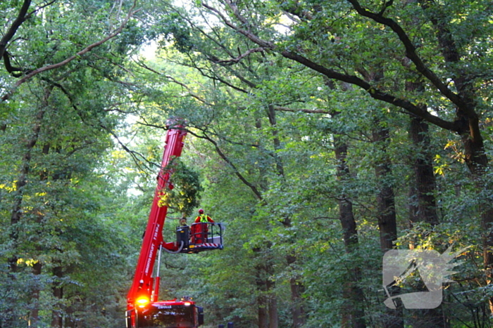 Hoogwerker in storing tijdens verwijderen tak