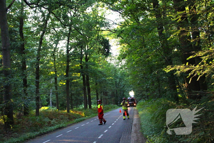 Hoogwerker in storing tijdens verwijderen tak