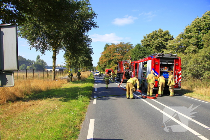 Paarden in veiligheid na bermbrand
