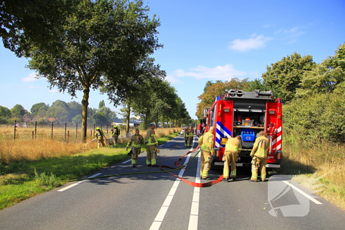 Paarden in veiligheid na bermbrand