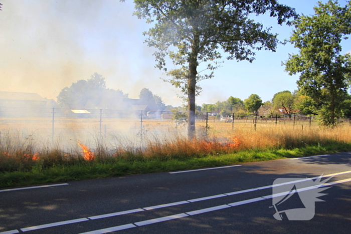 Paarden in veiligheid na bermbrand