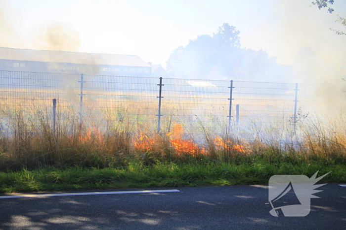 Paarden in veiligheid na bermbrand