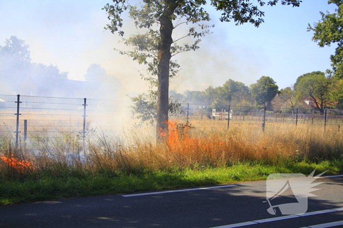 Paarden in veiligheid na bermbrand