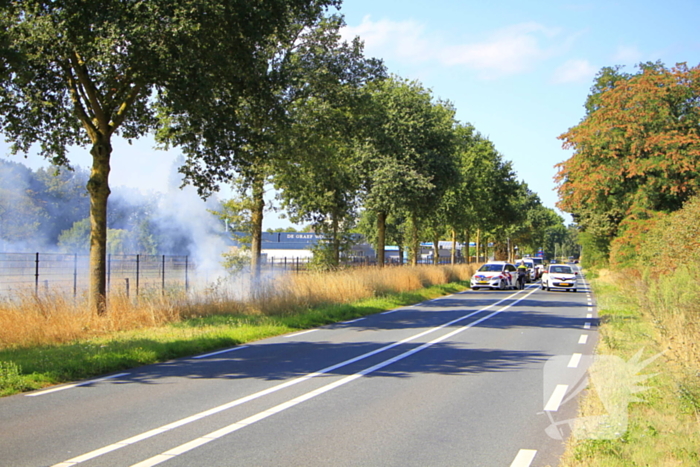 Paarden in veiligheid na bermbrand