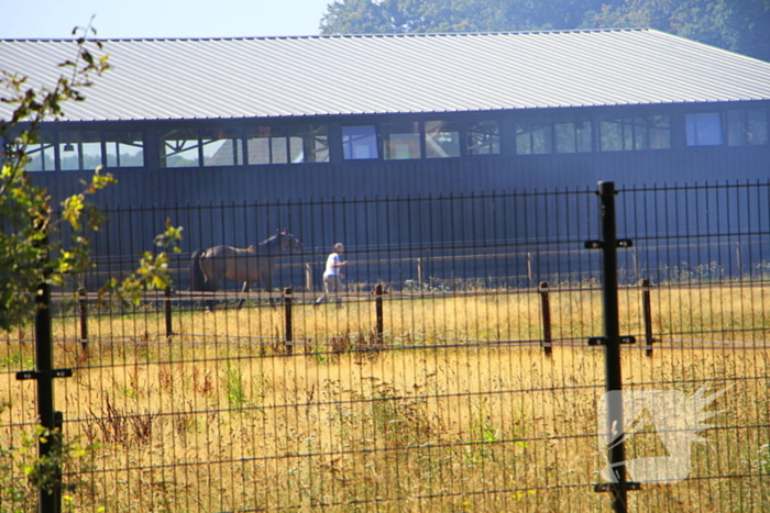 Paarden in veiligheid na bermbrand