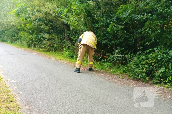 Schaap in nood gered door brandweer