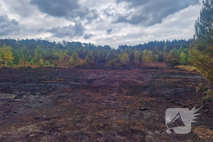 Heidebrand veroorzaakt forse schade