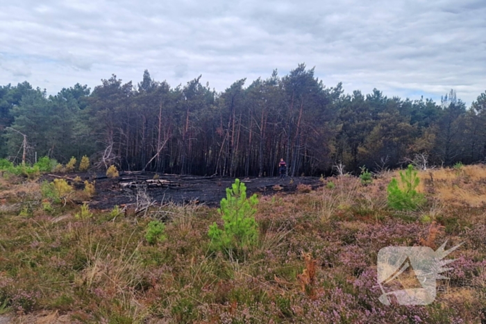 Heidebrand veroorzaakt forse schade