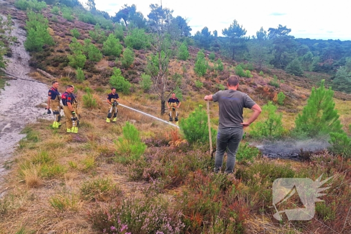 Heidebrand veroorzaakt forse schade