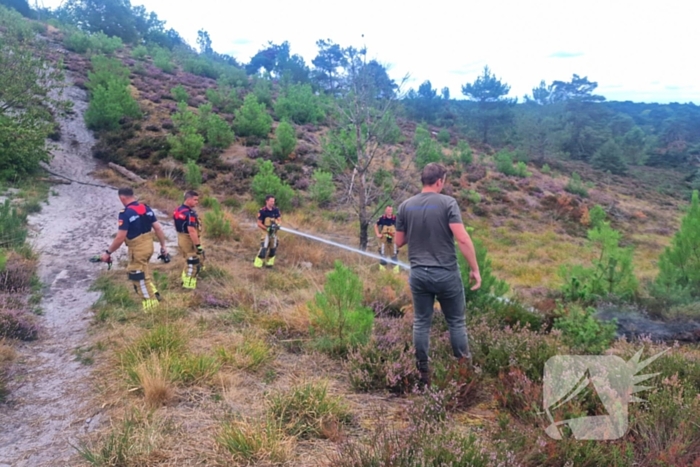 Heidebrand veroorzaakt forse schade