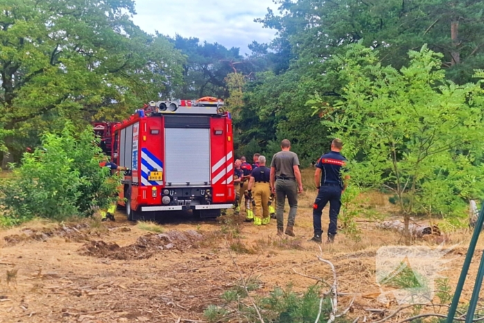 Heidebrand veroorzaakt forse schade