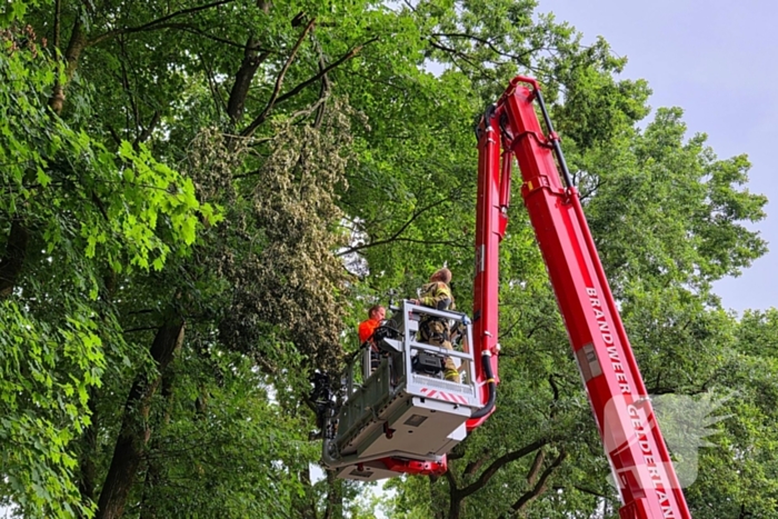 brandweer verwijdert gevaarlijke tak