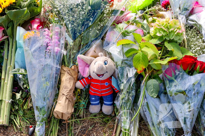 Herdenkingsplek voor Lisa groeit