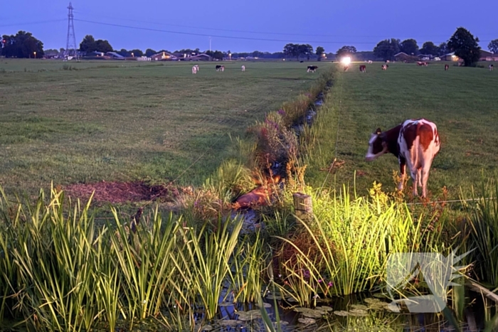 Reddingsactie door brandweer en boer