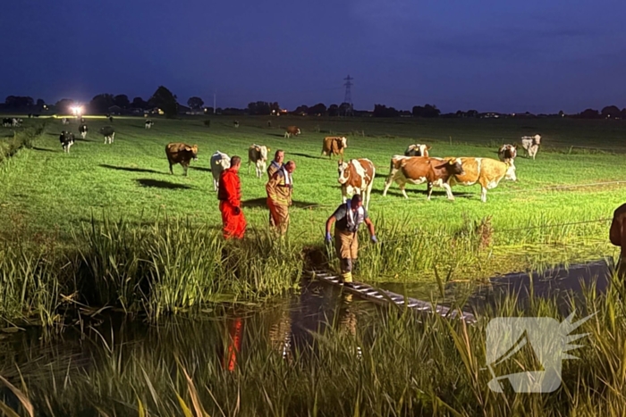 Reddingsactie door brandweer en boer