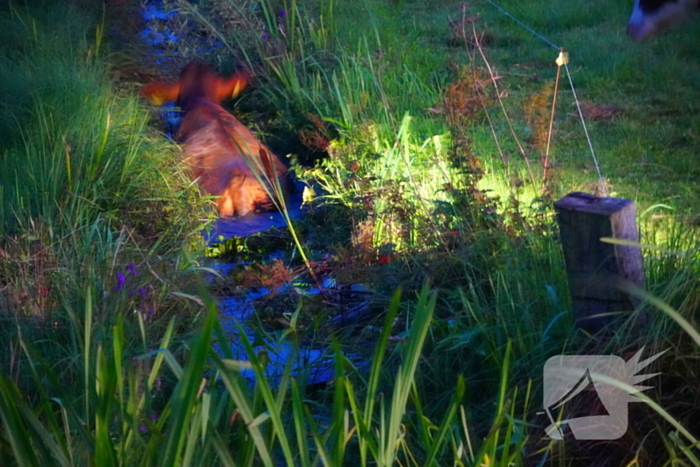 Reddingsactie door brandweer en boer