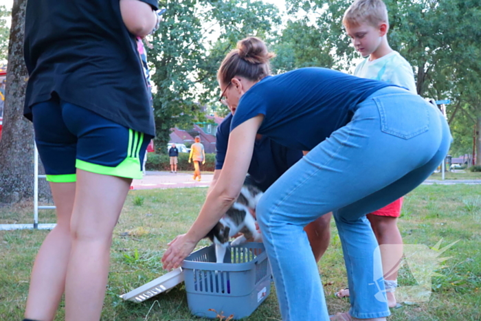 Kat Tigger uit boom gered