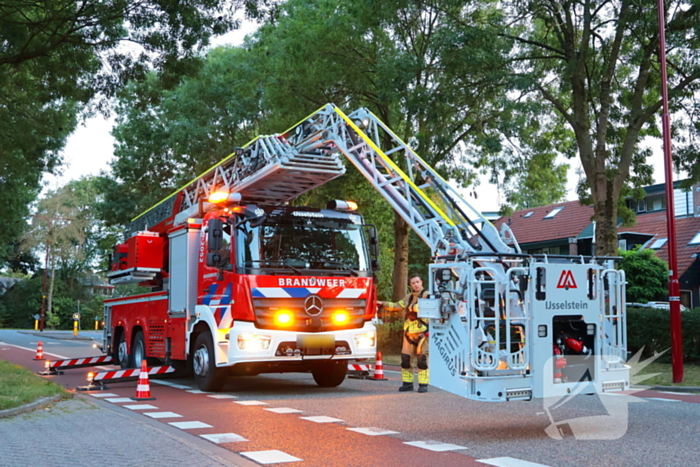 Kat Tigger uit boom gered