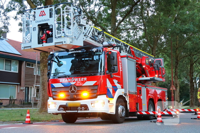 Kat Tigger uit boom gered