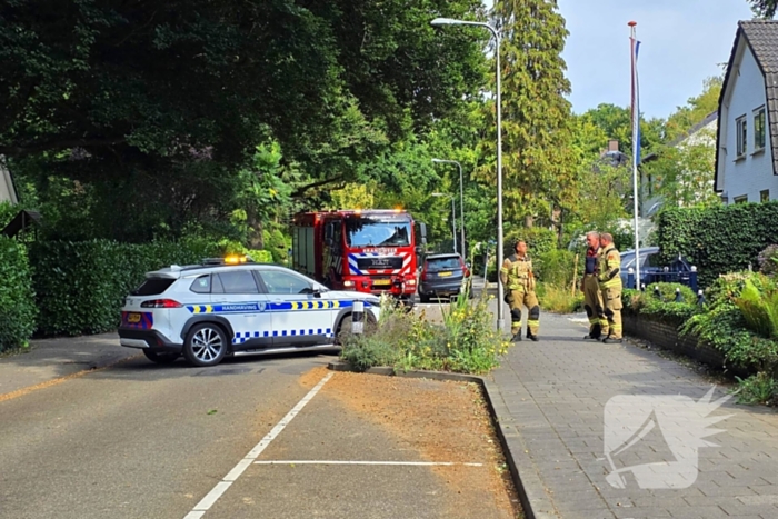 Brandweer verwijdert gevaarlijke hangende tak