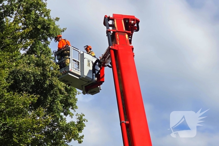 Brandweer verwijdert gevaarlijke hangende tak