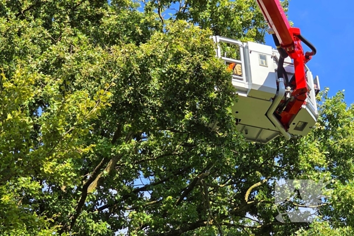 Brandweer verwijdert gevaarlijke hangende tak
