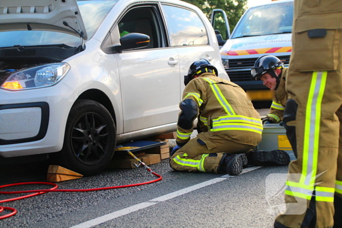Kat bevrijdt uit motorcompartiment