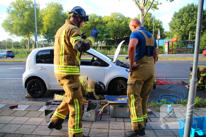 Kat bevrijdt uit motorcompartiment