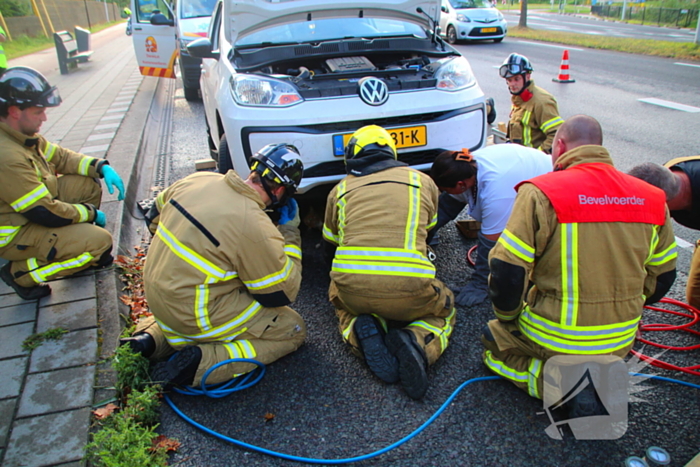 Kat bevrijdt uit motorcompartiment