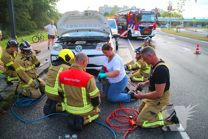 Kat bevrijdt uit motorcompartiment