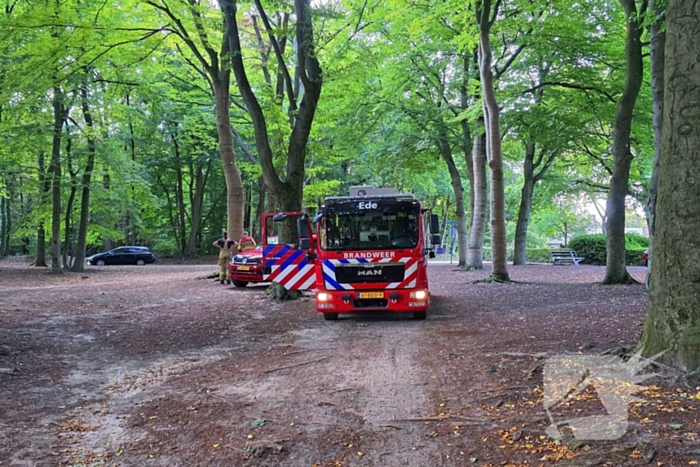 Boom valt op kinderwagen op schoolplein