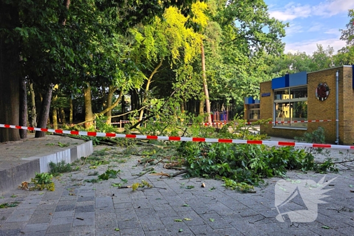 Boom valt op kinderwagen op schoolplein
