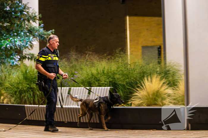 Vier aanhoudingen na vechtpartij