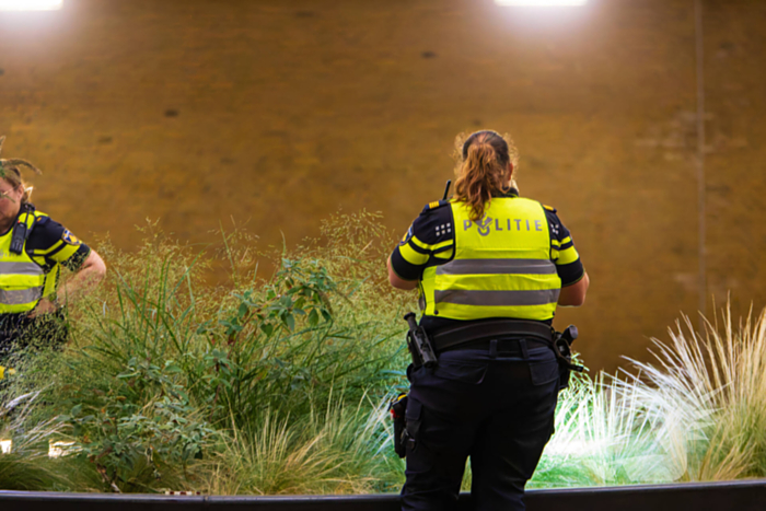 Vier aanhoudingen na vechtpartij