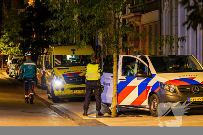 Vier aanhoudingen na vechtpartij