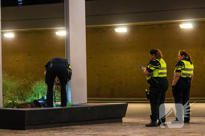 Vier aanhoudingen na vechtpartij