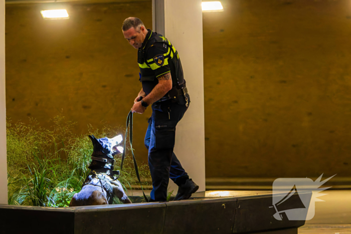 Vier aanhoudingen na vechtpartij