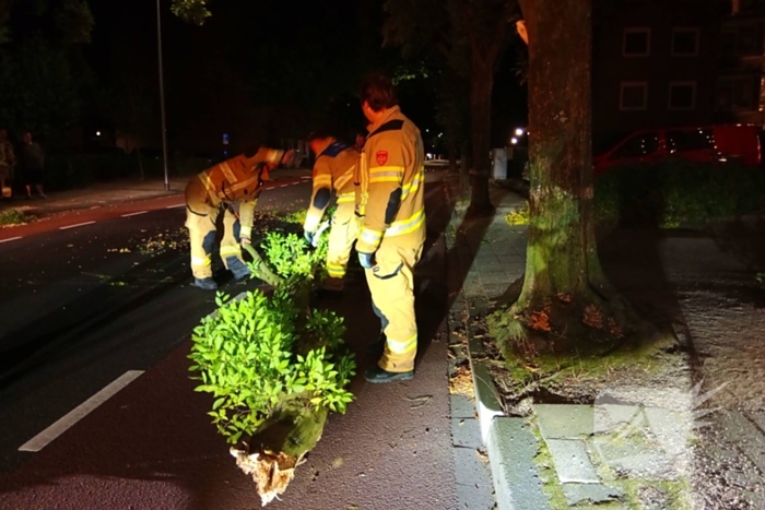 Brandweer verwijdert afgebroken boomtak